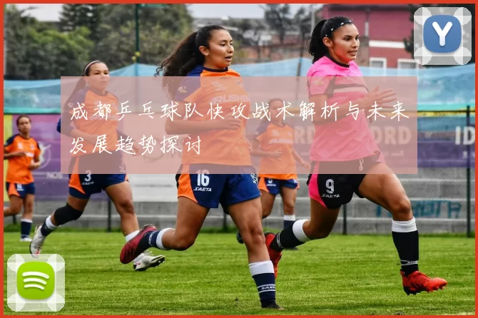 成都乒乓球队快攻战术解析与未来发展趋势探讨