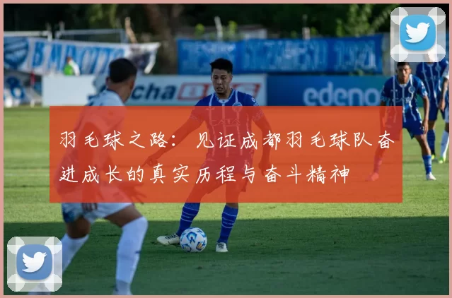 羽毛球之路：见证成都羽毛球队奋进成长的真实历程与奋斗精神