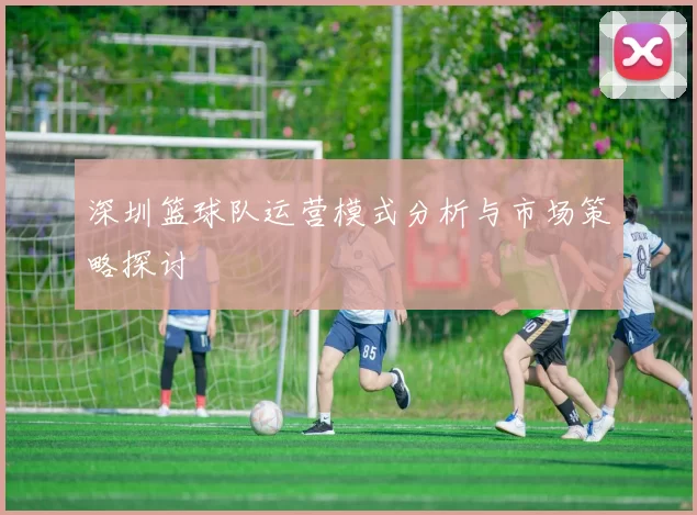 深圳篮球队运营模式分析与市场策略探讨