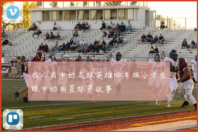 我心目中的足球英雄四年级小学生眼中的明星球员故事
