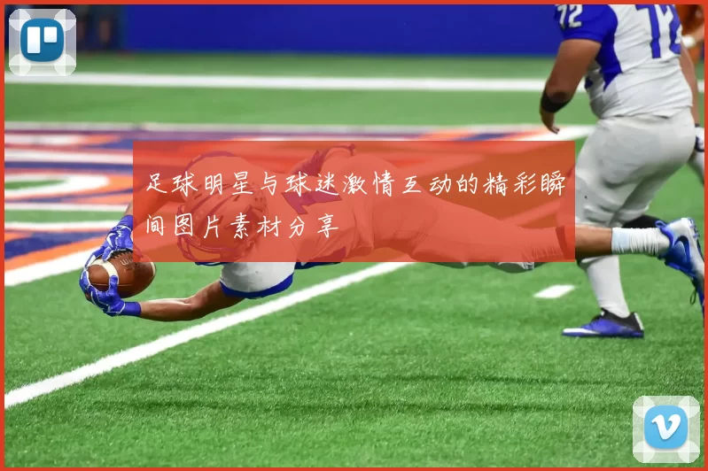 足球明星与球迷激情互动的精彩瞬间图片素材分享