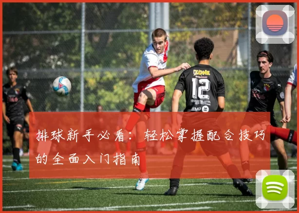 排球新手必看：轻松掌握配合技巧的全面入门指南