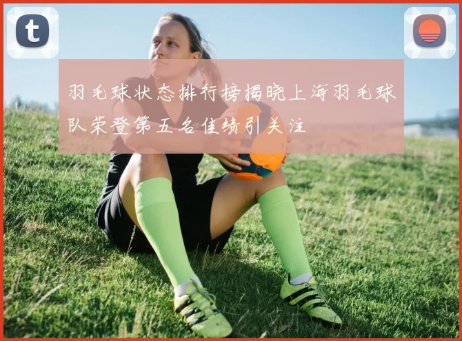 羽毛球状态排行榜揭晓上海羽毛球队荣登第五名佳绩引关注