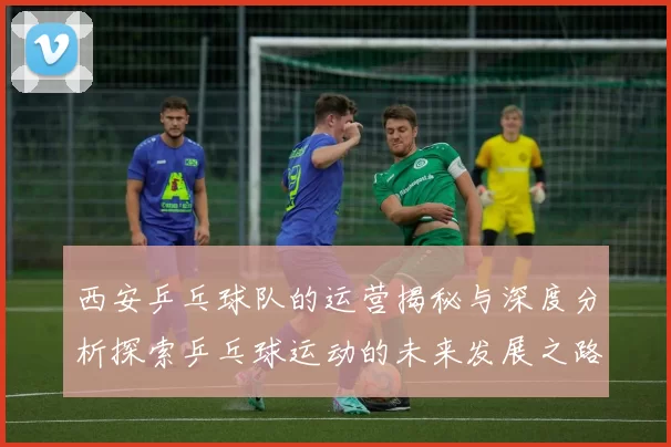 西安乒乓球队的运营揭秘与深度分析探索乒乓球运动的未来发展之路