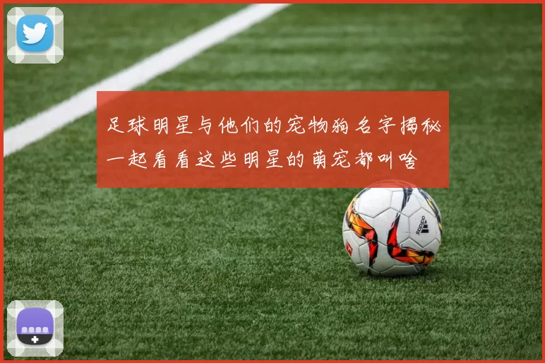 足球明星与他们的宠物狗名字揭秘一起看看这些明星的萌宠都叫啥