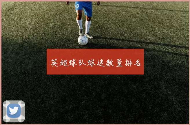 英超球队球迷数量排名