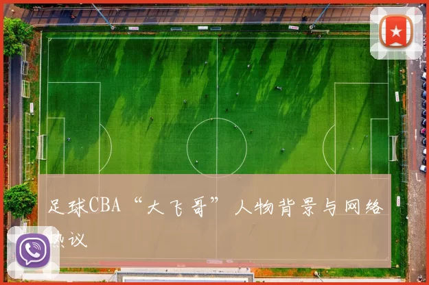 足球CBA“大飞哥”人物背景与网络热议