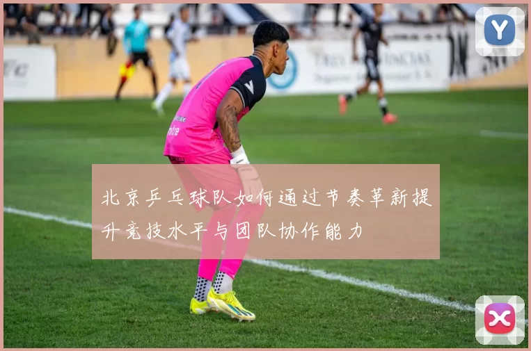 北京乒乓球队如何通过节奏革新提升竞技水平与团队协作能力