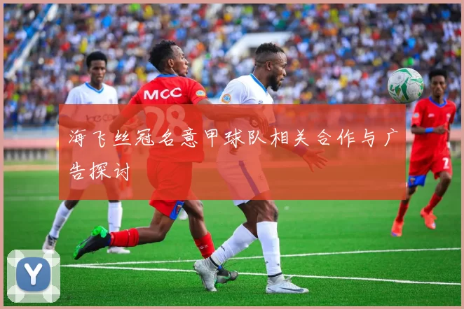 海飞丝冠名意甲球队相关合作与广告探讨