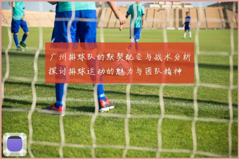 广州排球队的默契配合与战术分析探讨排球运动的魅力与团队精神