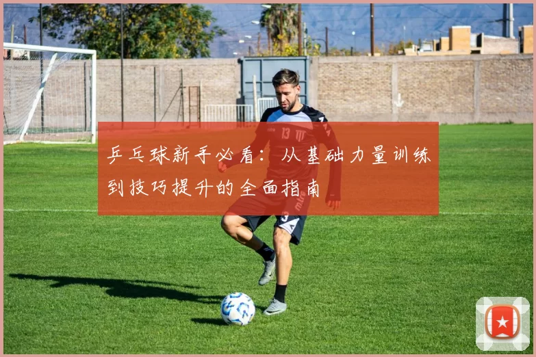 乒乓球新手必看：从基础力量训练到技巧提升的全面指南