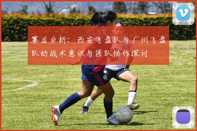 赛后分析：西安飞盘队与广州飞盘队的战术意识与团队协作探讨