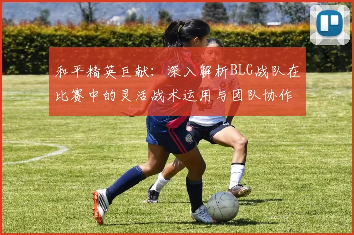 和平精英巨献：深入解析BLG战队在比赛中的灵活战术运用与团队协作