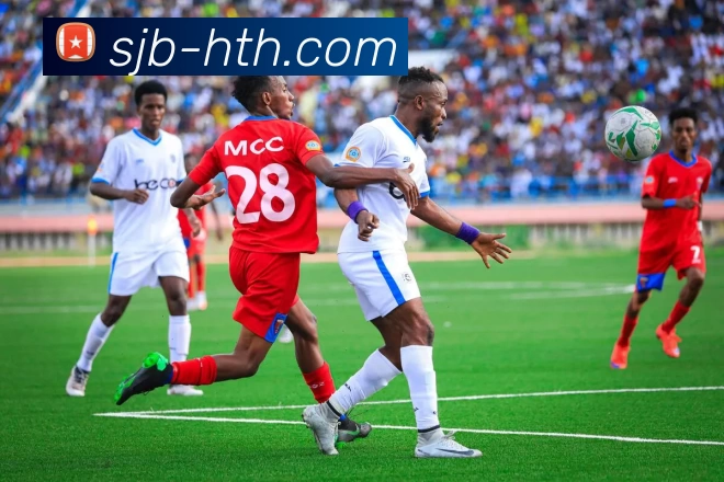 华体会平台生态图